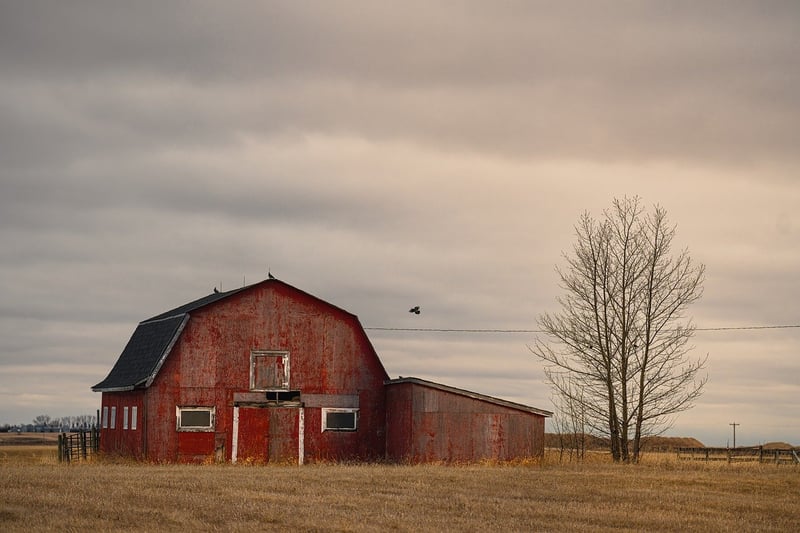 The Barn at Gibbet Hill