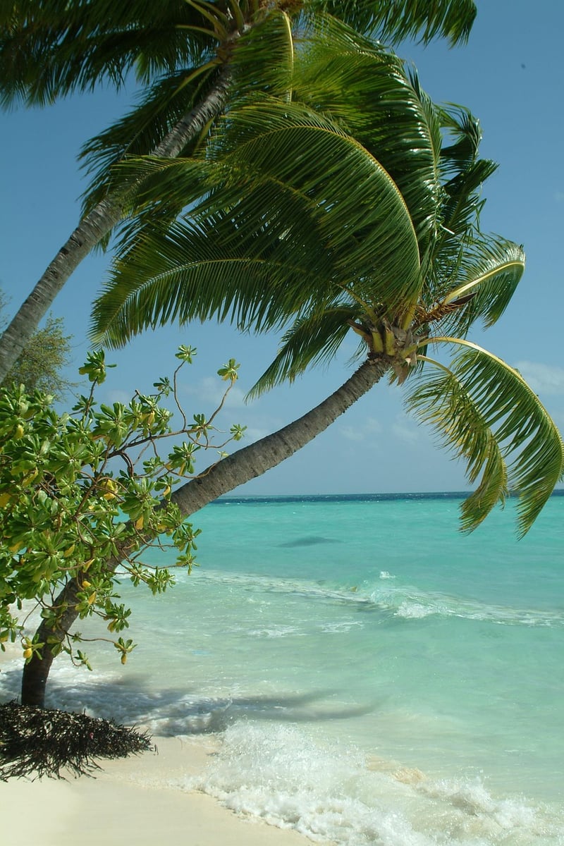 Maldives